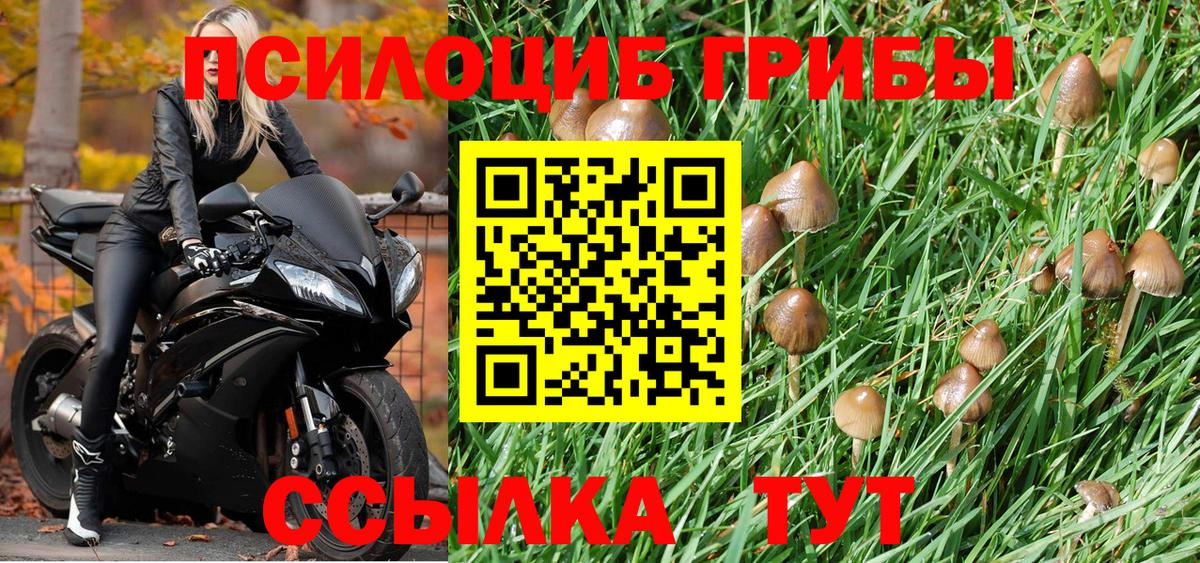 Псилоцибиновые грибы прущие грибы  Вход с VPN  Псилоцибиновые грибы Magic Shrooms  Красноярск 